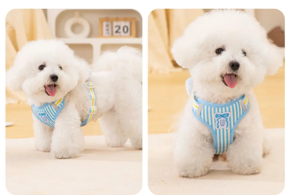 Stylish Dog Leash with Bowknot – Comfortable, Durable & Cute Design