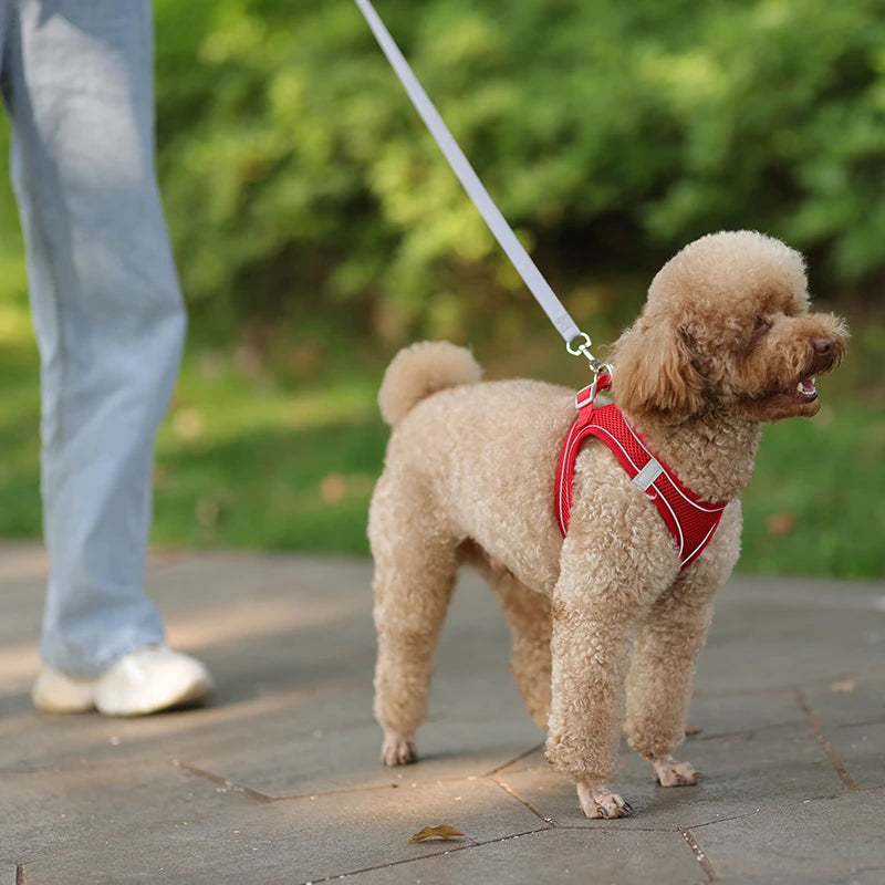 “Soft & Comfy Dog Harness Leash Set – Adjustable No-Pull Design for Small & Medium Pets”