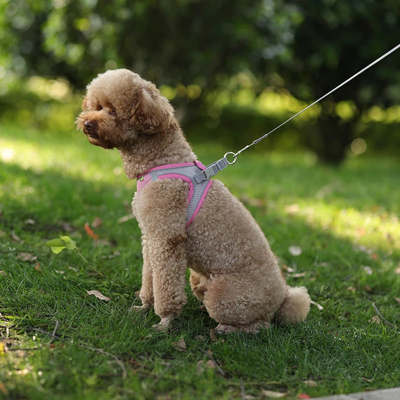 “Soft & Comfy Dog Harness Leash Set – Adjustable No-Pull Design for Small & Medium Pets”