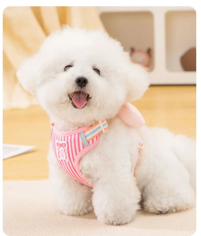 Stylish Dog Leash with Bowknot – Comfortable, Durable & Cute Design