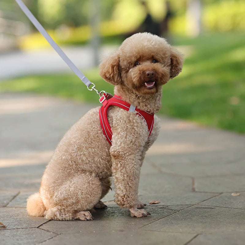 “Soft & Comfy Dog Harness Leash Set – Adjustable No-Pull Design for Small & Medium Pets”