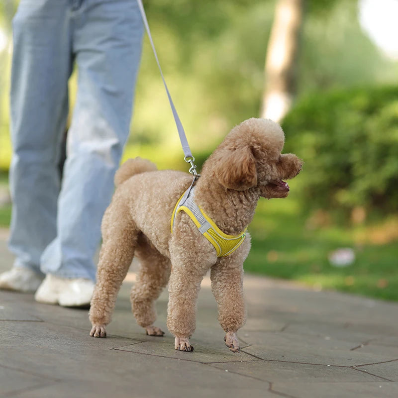 “Soft & Comfy Dog Harness Leash Set – Adjustable No-Pull Design for Small & Medium Pets”