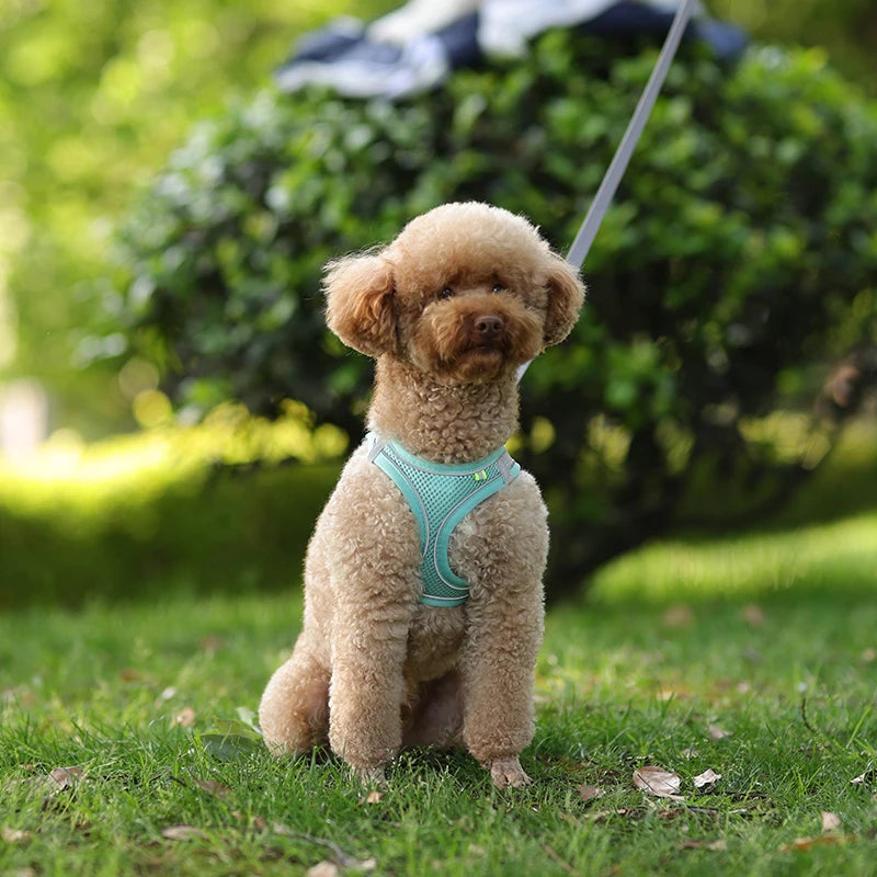 “Soft & Comfy Dog Harness Leash Set – Adjustable No-Pull Design for Small & Medium Pets”