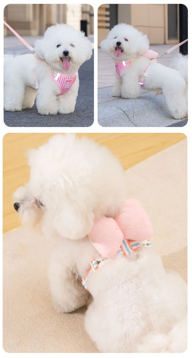 Stylish Dog Leash with Bowknot – Comfortable, Durable & Cute Design