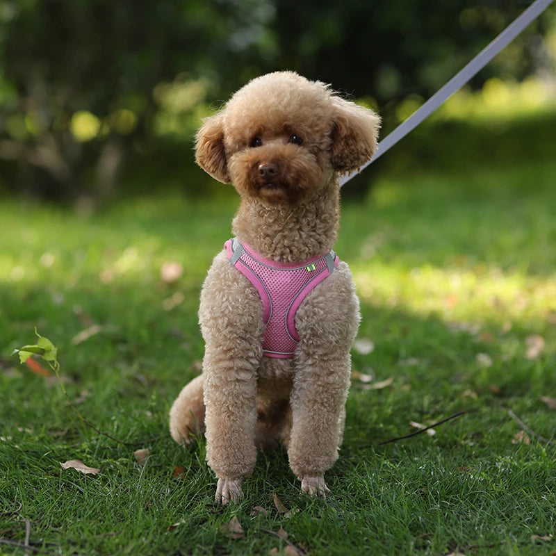“Soft & Comfy Dog Harness Leash Set – Adjustable No-Pull Design for Small & Medium Pets”
