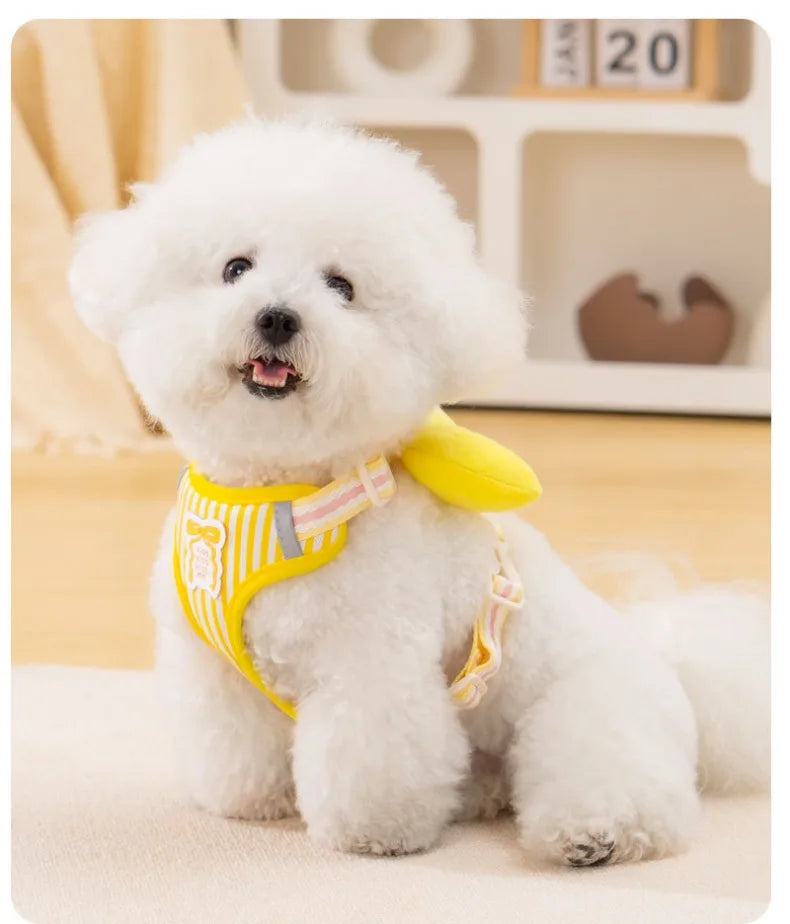 Stylish Dog Leash with Bowknot – Comfortable, Durable & Cute Design